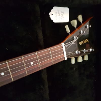 Hamer Rick Nielsen signature guitar Natural image 1