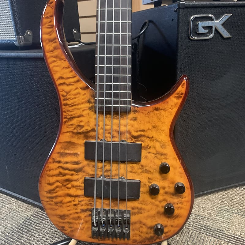 Peavey Cirrus BXP 5 String Bass w gig bag