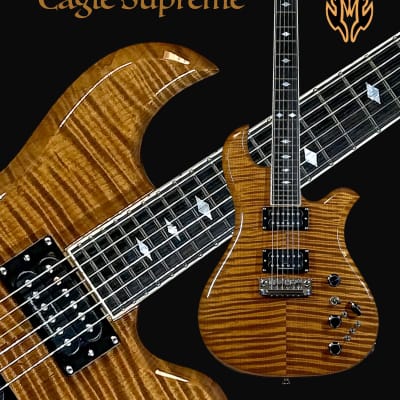 B.C. Rich Custom Shop Eagle Supreme 2024 image 2