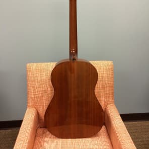 stella harmony guitar 50s ビンテージギター Stella Guitar - The Roots of The Blues