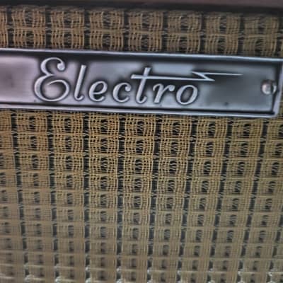 Vintage 1966 Electro by Rickenbacker Model 100 Lap Steel with legs Hard Shell Case with Original 12 inch Amp image 24