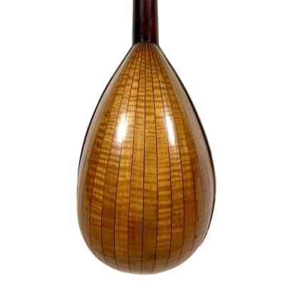 Stridente Student Mandolin 1900's image 11