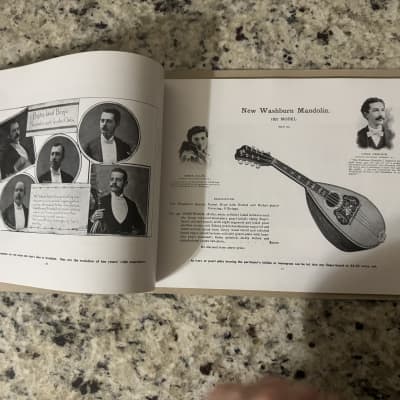 Washburn 1897 guitar mandolin zither banjo reprint catalog Lyon and Healy Lion image 6