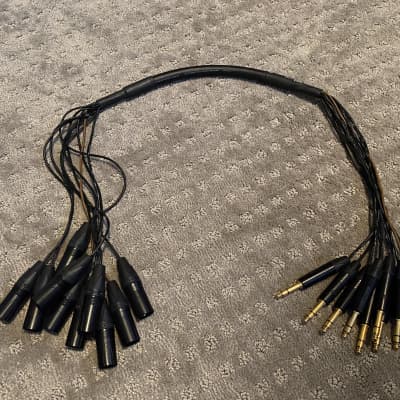 Mogami 10-Channel Analog Snake | Made from Mogami 2933 & Neutrik Gold 1/4" TRS to XLR-Male ( Harness image 1