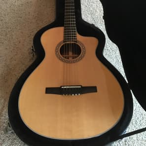 Taylor NS32CE Nylon String Natural Reverb