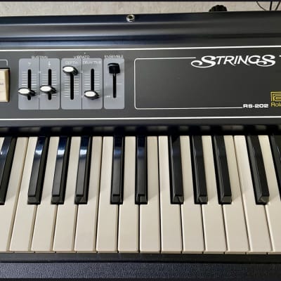 Roland RS-202 61-Key String Synthesizer 1976 - 1979 - Black