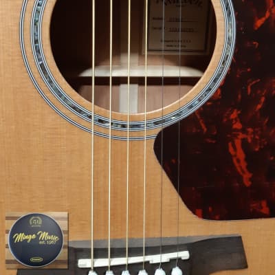 Walden  Natura D740E all-solid dreadnought with gig bag. FREE Canadian shipping (*) image 5