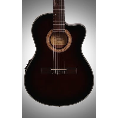 Ibanez GA35TCE Thinline Classical Acoustic-Electric Guitar image 3