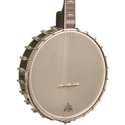 Gold Tone IT-250 4-String Openback Irish Tenor Banjo w/case image 1