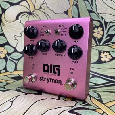 ギター strymon DIG V1 DIG Brochure - Strymon