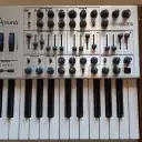 Arturia Minibrute SE 25-Key Synthesizer