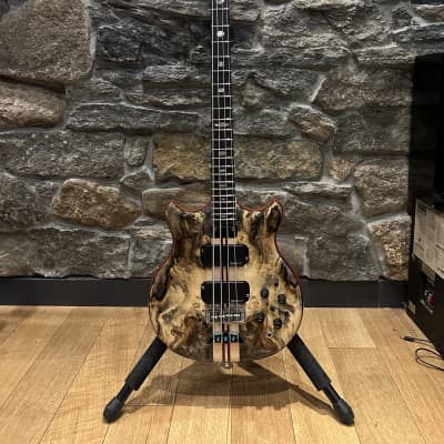 Alembic Stanley Clarke Deluxe 2023 for sale