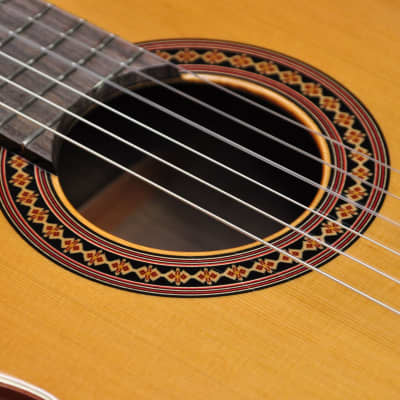Alhambra Iberia - Ziricote + Case image 7