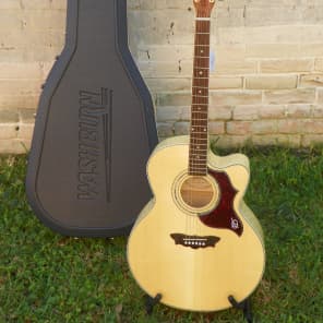 Washburn cumberland j28sce hot sale