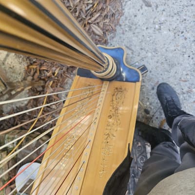Lyone Healy Pedal harp image 6