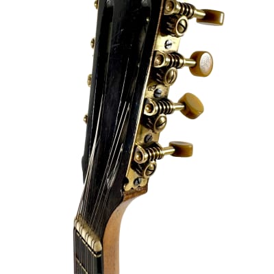 Concert Mandolin Flat-Back Emanuele Egildo N°840 from 1927 image 16