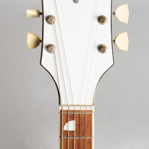 National  Newport 88 Semi-Hollow Body Electric Guitar (1965), original two-tone hard shell case. image 5