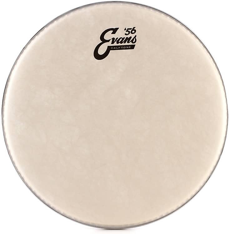 Evans Calftone Drumhead - 12 inch image 1