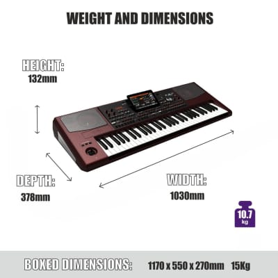 Korg PA1000 Professional Arranger Keyboard image 3