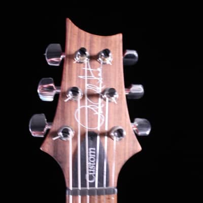 PRS Custom 22 - Express Shipping - (PRS-0318) Serial: 15 219168 - PLEK'd image 8
