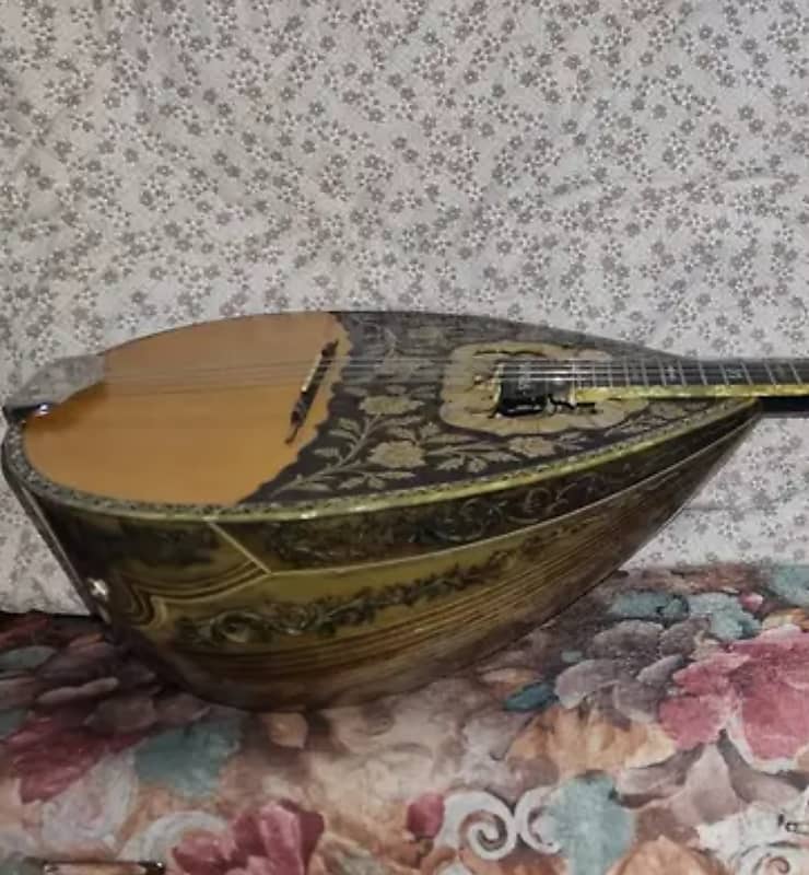 Greek Bouzouki Professional & HARDCASE & pickup & 30 backing Reverb