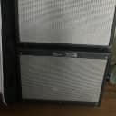 Traynor tube amp with fender deluxe expansion cabinet