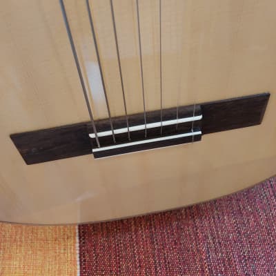 Jefferson Barros 7-String Guitar, (steel & nylon strings) 2023 image 12
