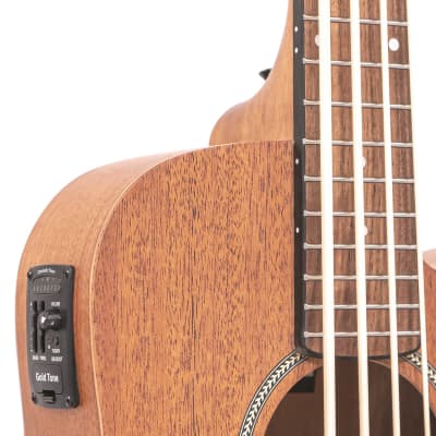 Gold Tone M-Bass 23-Inch Scale 4-String Acoustic-Electric MicroBass w/Hard Case image 6