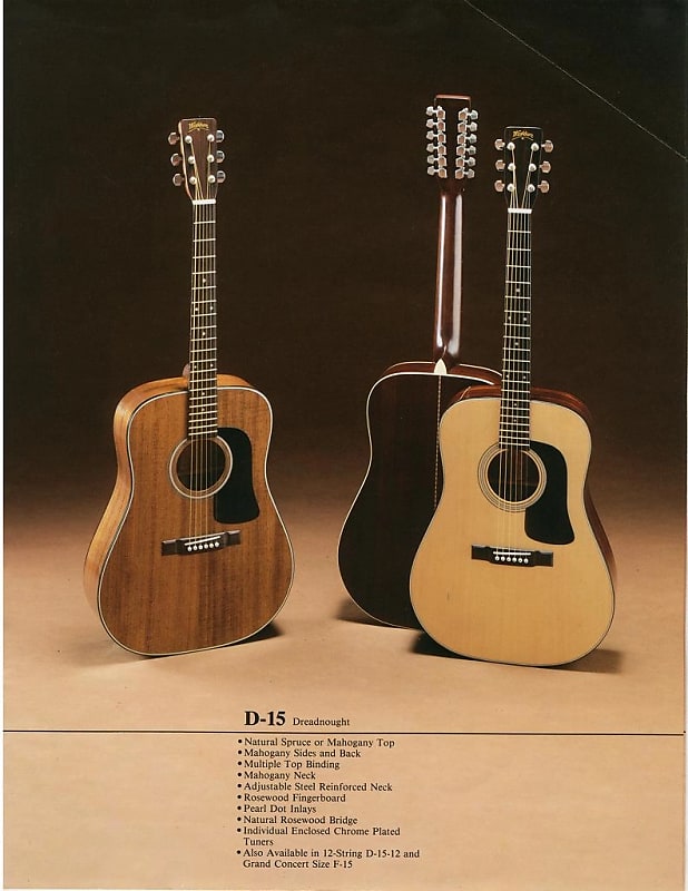 Washburn D15 Acoustic Guitar mij Japan 1981(Yamaki Build)