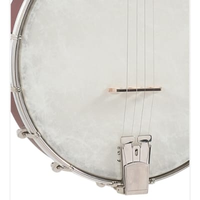 Recording King RKT-05 | Dirty 30’s Tenor Banjo. New with Full Warranty! for sale