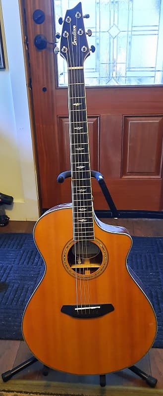 Breedlove stage concert ce discount