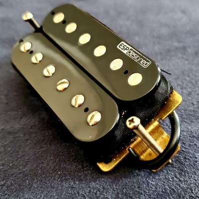 Esp lh store 100 pickups