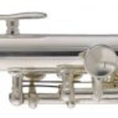 Stagg C Piccolo-flute With Case Silver Plated Split E Mechanism Offset G image 1
