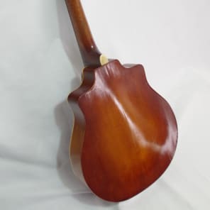 Pre-War Harmony No.55 Viol Mandolin image 13