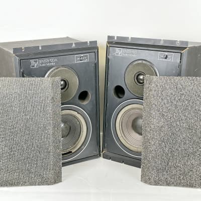 R工房改　Electro-Voice SENTRY 100A PAIR of Vintage EV Electro-Voice SENTRY 100A NearField