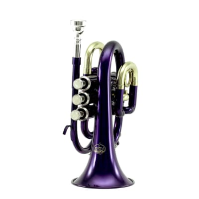Sky Band Approved Purple Plated Brass Bb Pocket Trumpet with Case, Cloth,  Gloves and Valve Oil