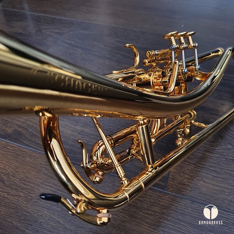 Schagerl Bb trumpet Model Gansch Horn Gold plated, double case