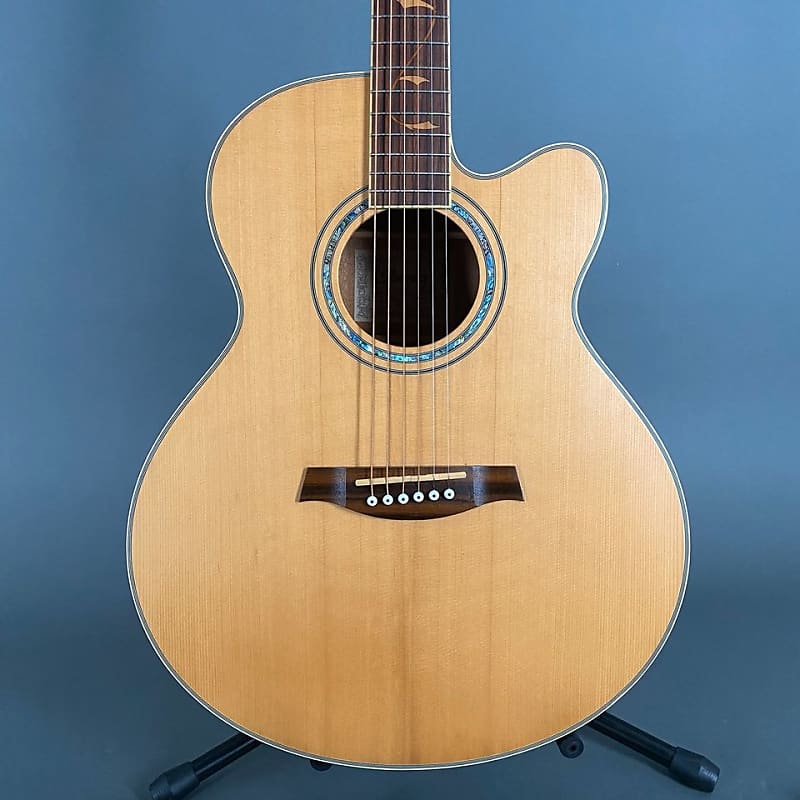 Ibanez AEL 40 SE RLV Tonabnehmer Akustikgitarre Gigbag
