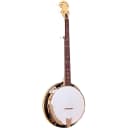Gold Tone CC-100R Cripple Creek banjo with demountable resonator