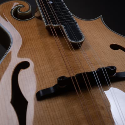 Bourgeois M5-F Aged Tone F-style mandolin Brand New image 6