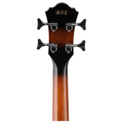 Ibanez AEB10E Acoustic-Electric Bass, Dark Violin Burst image 8