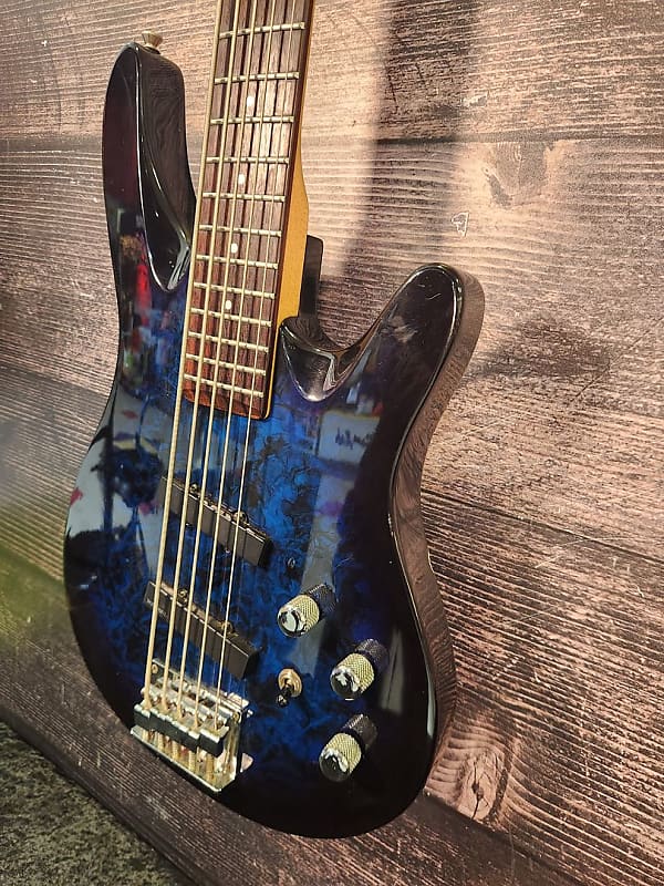 Washburn XS-5 5 String Bass Guitar (Raleigh, NC) | Reverb