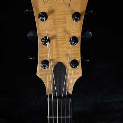 1993 Benedetto Knotty Pine Special 17" Archtop - One of a Kind Collector's Instrument image 8