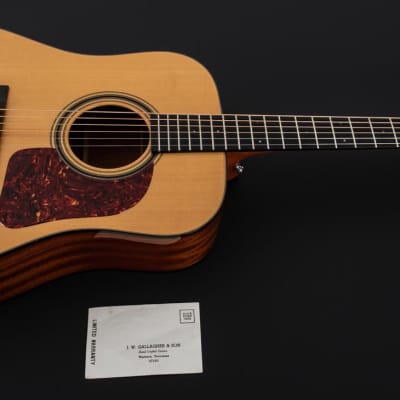 Gallagher G 55 Dreadnought 2011 Natural image 19