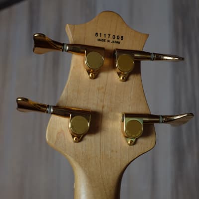 激レア　Anboy Gold Top Vintage フジゲン FUJIGEN Anboy Electric Guitar ストラトキャスター エレキ