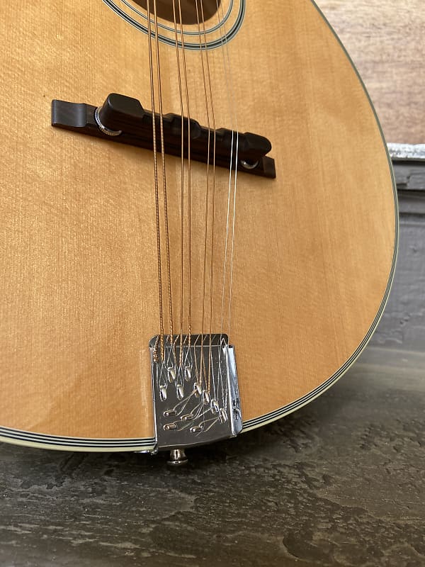 Fender FMO-66 Acoustic / Electric Octave Mandolin