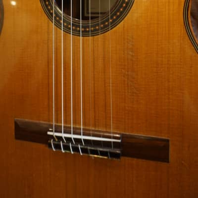 Thomas Fredholm 7 String Luthier Guitar image 7