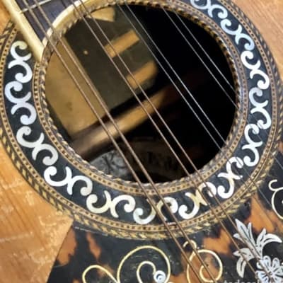 Bruno Klemm. Mandolina. Year 1890 Mandolin. image 9