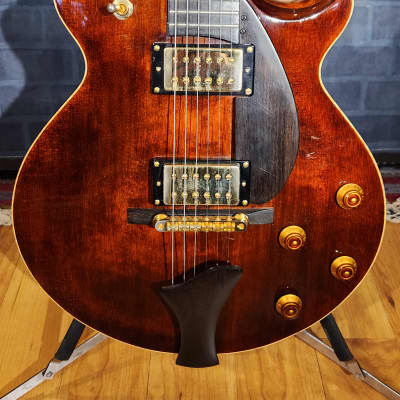 Eastman Otto D'Ambrosio El Rey Hollowbody Electric Guitar - Original Hard Case-Solid Wood Beauty image 8
