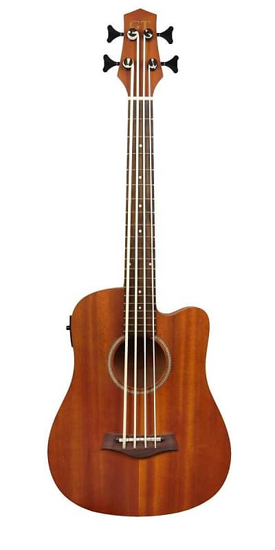 Gold Tone M-BASS Micro Bass 36" Electric Acoustic Bass Guitar with Gig Bag image 1